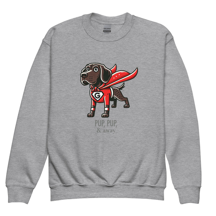 Superhero Youth Sweatshirt