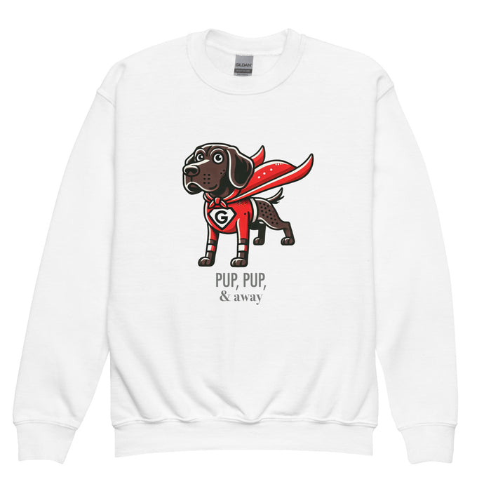 Superhero Youth Sweatshirt